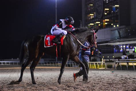 sportsbook hipodromo|Vívelo a tu manera. .